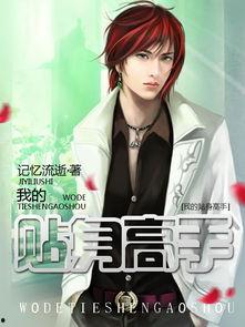 我的贴身高手,身怀绝技，守护正义的传奇人生