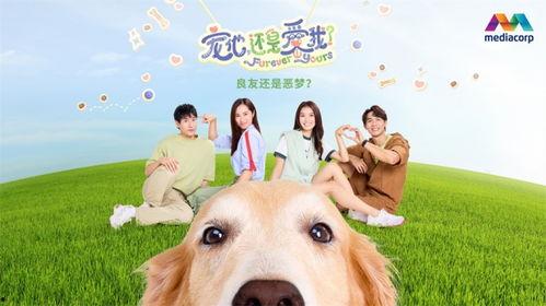 宠他，还是爱我？,揭秘爱与宠爱的界限