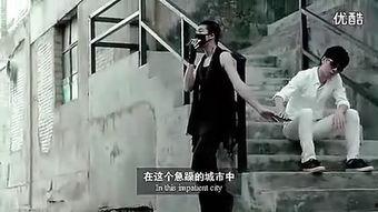 爱情终结者,揭秘现代情感危机的幕后黑手